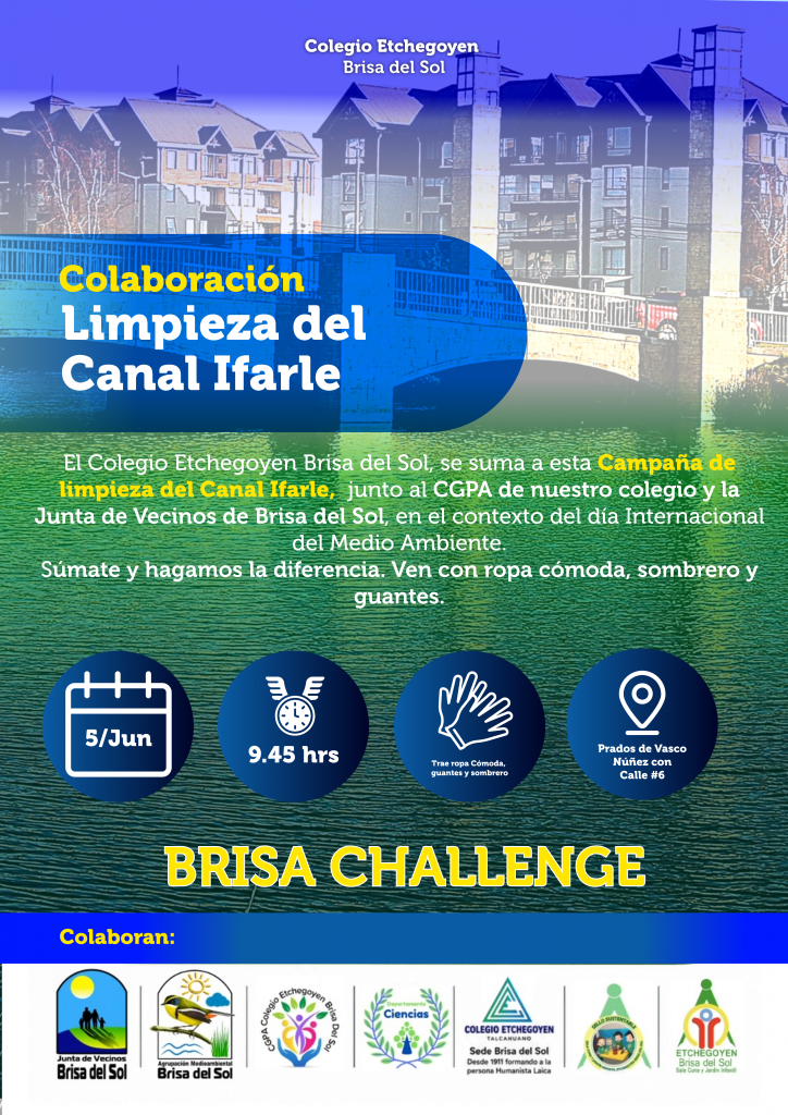 BRISA CHALLENGE
